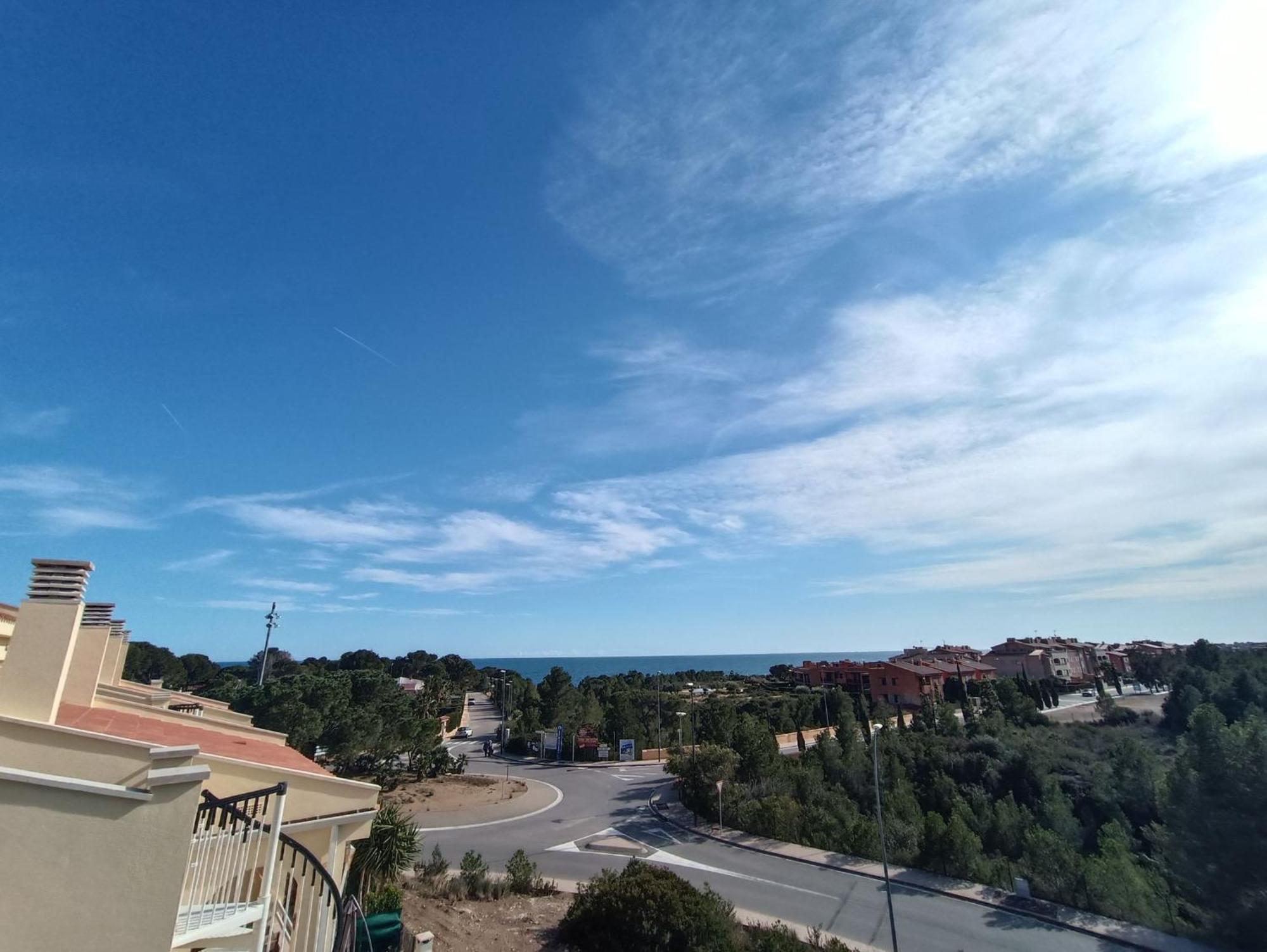 Alosas 8 * Calafat
